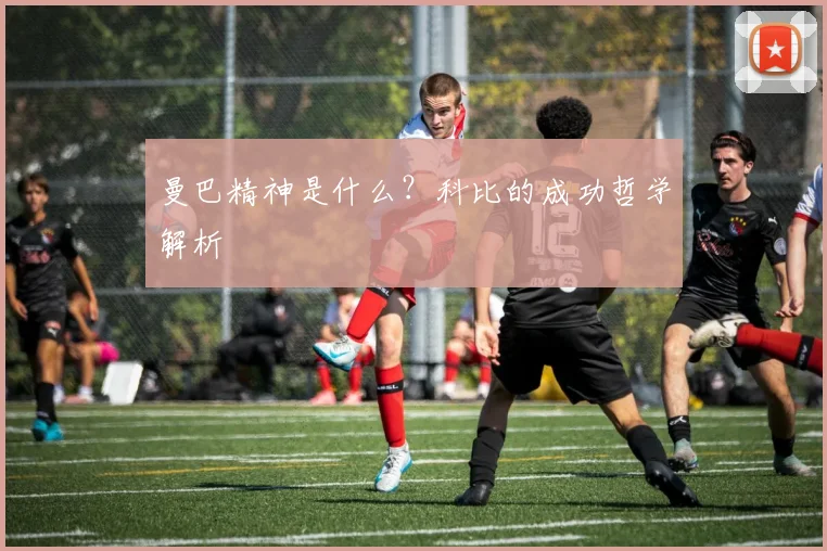 曼巴精神是什么？科比的成功哲学解析