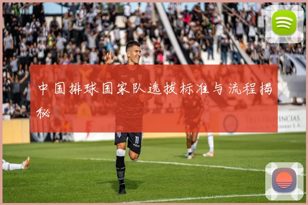 中国排球国家队选拔标准与流程揭秘